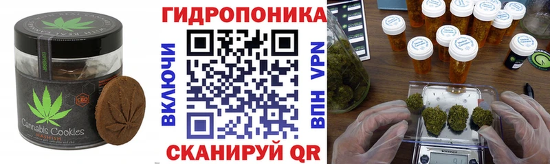 купить наркотики цена  Невель  Cannafood конопля 
