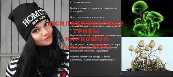 спиды Баксан
